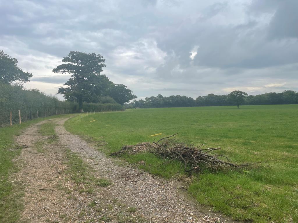 Lot: 94 - JUST OVER 33 ACRES OF FARMLAND IN STRATEGIC LOCATION - TO BE OFFERED FOR SALE BY PUBLIC AUCTION ON FRIDAY, 25TH OCTOBER 2024 - Easterly view of land from track